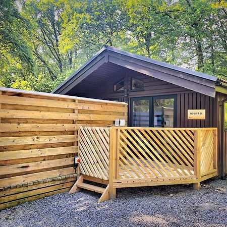 The Squirrel Lodge - Hot Tub - Pet Friendly - Pembrokeshire-Tenby Кармартен Екстер'єр фото